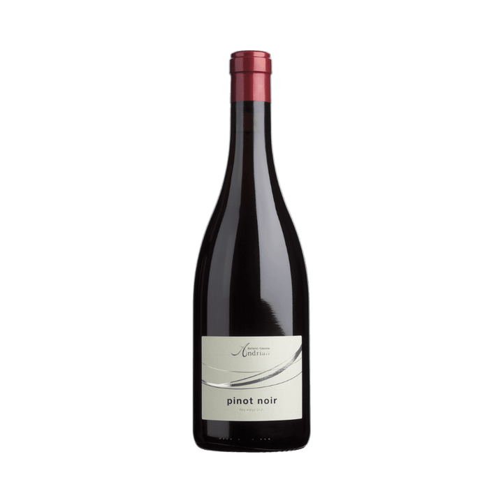 Pinot Noir DOC 2023